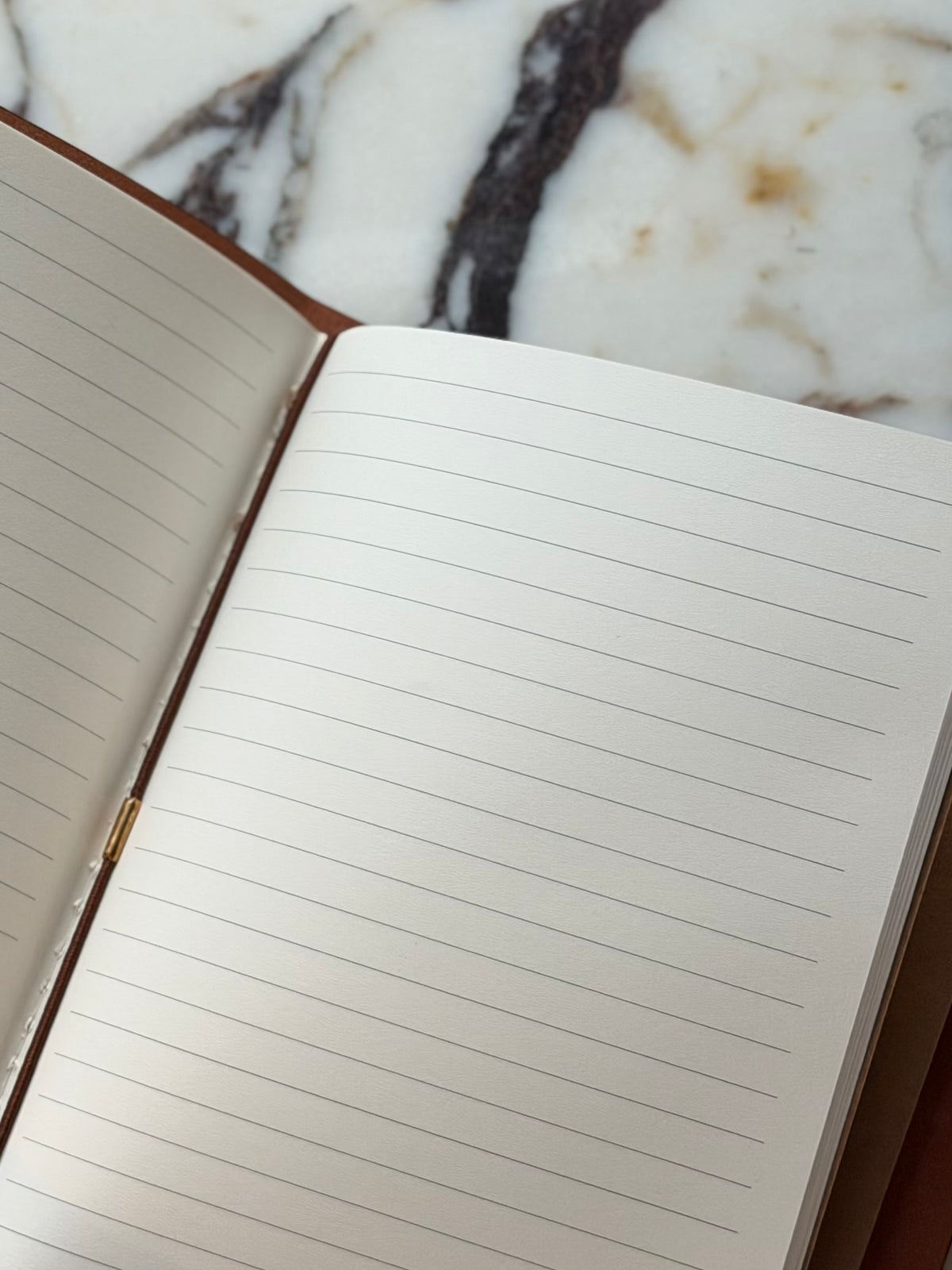 A Record of Stranger Occurrences Traveler's Journal