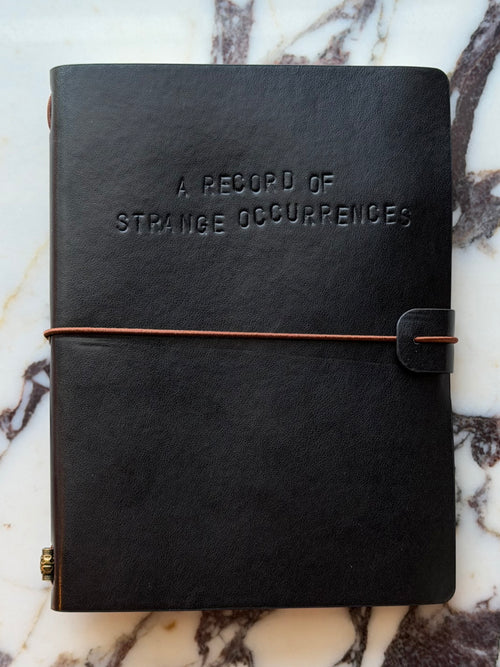 A Record of Stranger Occurrences Traveler's Journal