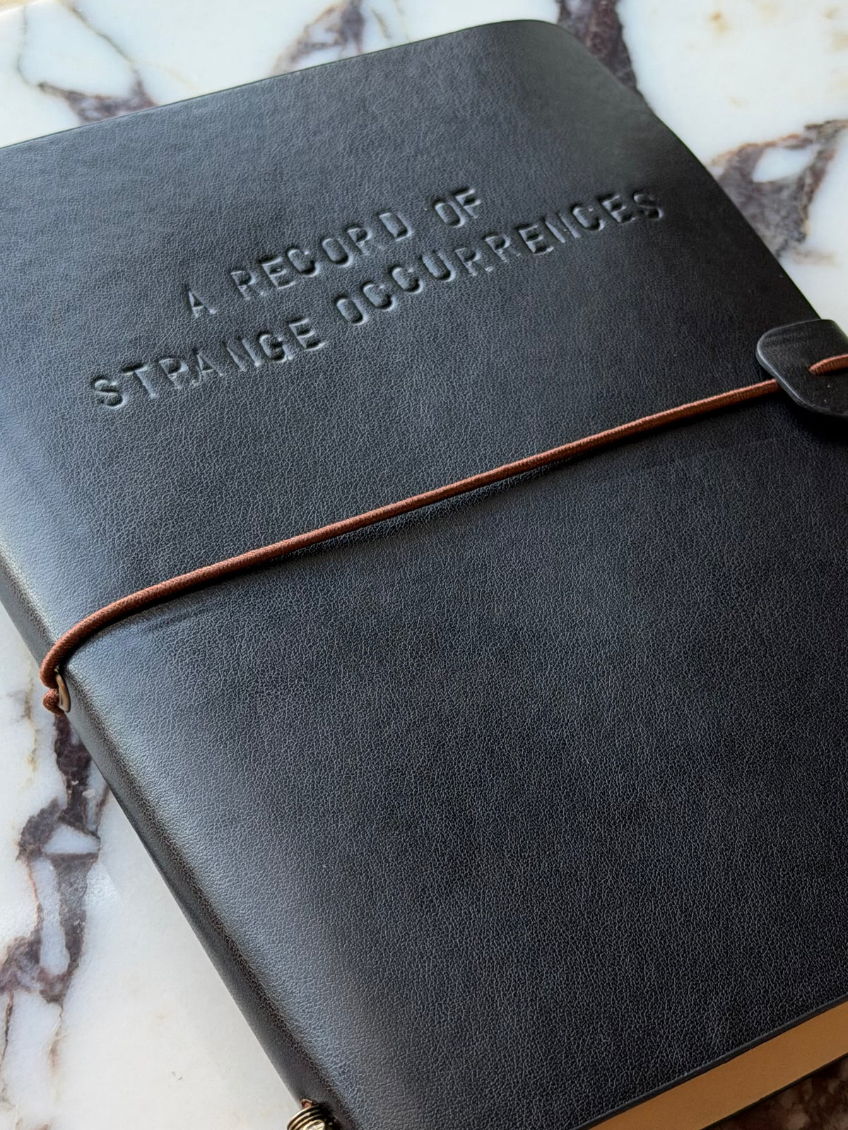 A Record of Stranger Occurrences Traveler's Journal